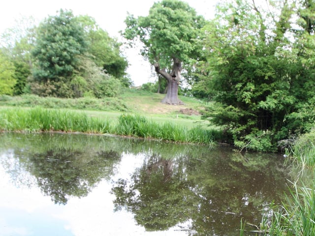 Boughton Pocket Park can be found in Northampton
