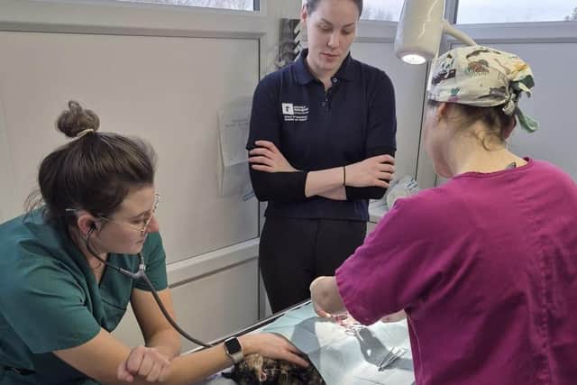 Animals In Need has wonderful support from local vets as well as those from further afield, including London