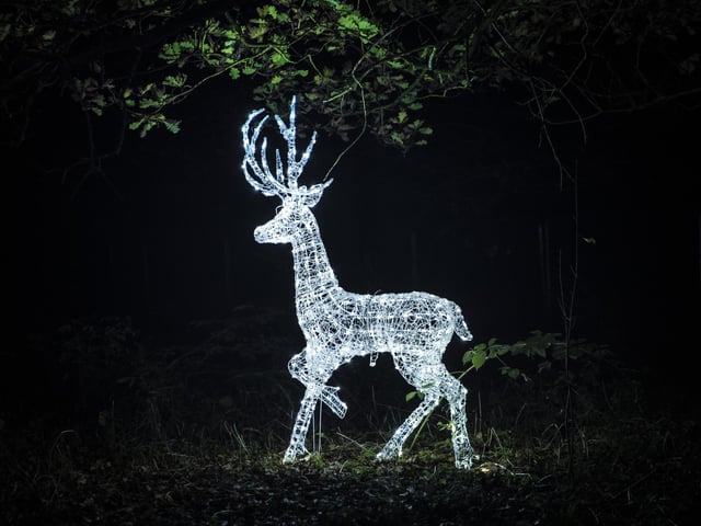 The Winter Light Trail at Delapre Abbey from November 18, 2022 to January 2, 2023.