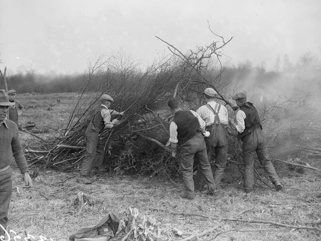 April 1929:  Burning brushwood at a Ministry of Labour training camp, Kettering.  (Photo by Fox Photos/Getty Images)