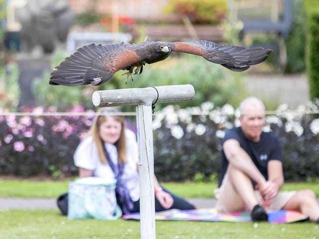 Delapre Abbey hosted a re-enactment event on Sunday July 14, 2024, including a medieval hawking show, re-enactors and a guided tour of the registered battlefield.