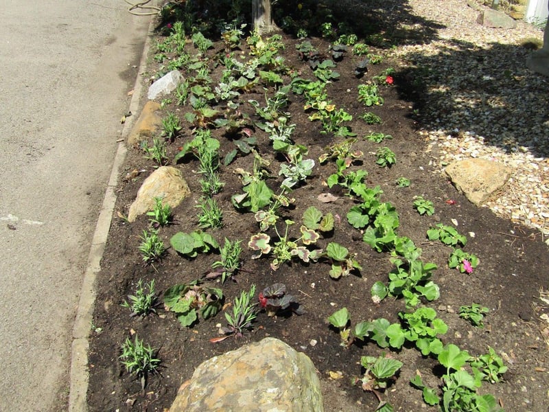 Volunteers Work Complete