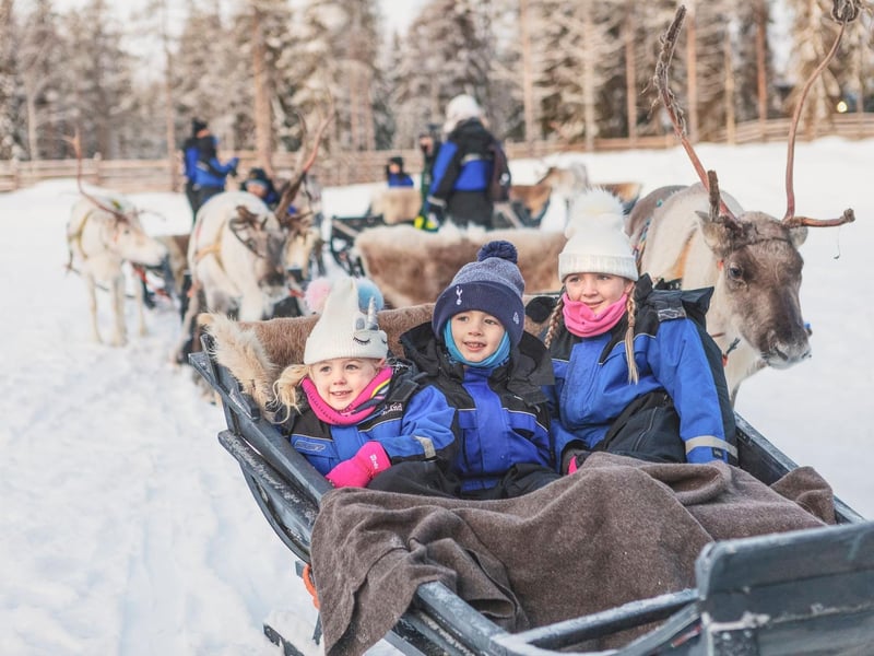 Enjoy a magical sleigh ride in the snow