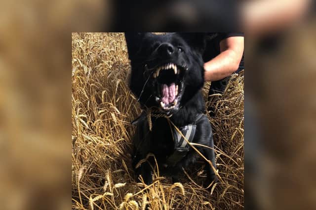 PD Fama tracked the suspects following an incident at a service station on the M1.