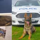 PD Gru is retiring after three years of service.