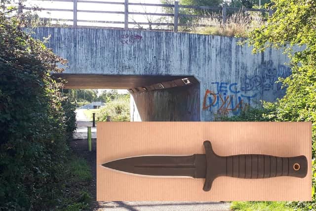 The knife that Jamal Waddell used to stab Dylan Holliday 13 times and his friend once