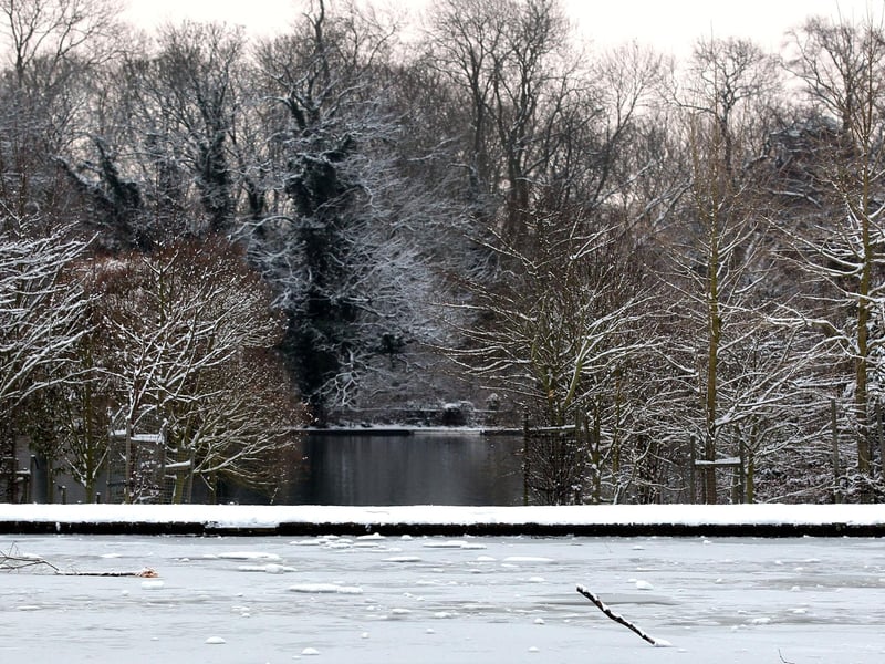 Snow covers  Abington Park, Northampton.