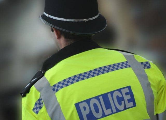 Police officers were called to reports of "dangerously out of control" dogs in Northampton.