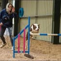 Lisa teaches agility classes at Dogs N Stuff Training Academy