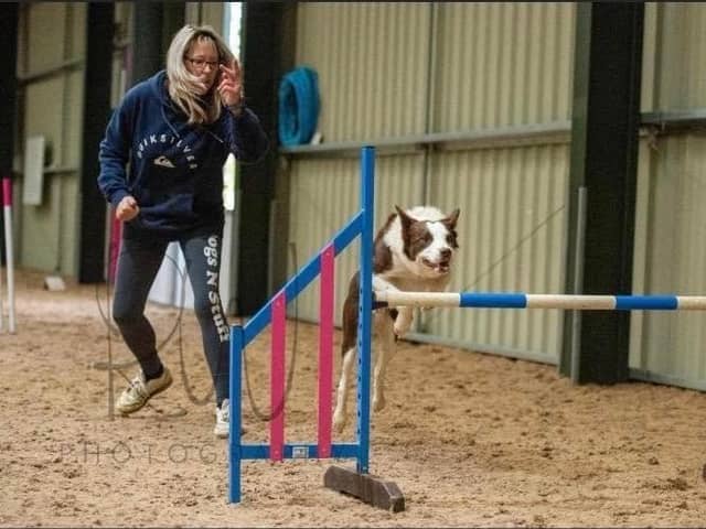Lisa teaches agility classes at Dogs N Stuff Training Academy