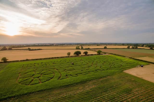 Overstone Grange Farm will host a royal themed maze this year.