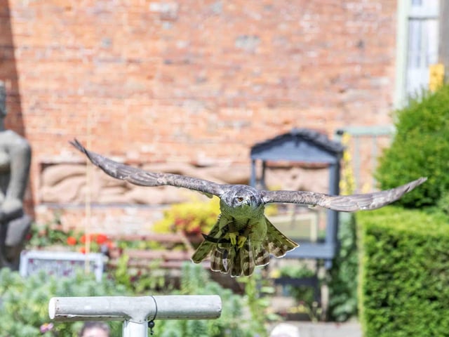 Delapre Abbey hosted a re-enactment event on Sunday July 14, 2024, including a medieval hawking show, re-enactors and a guided tour of the registered battlefield.