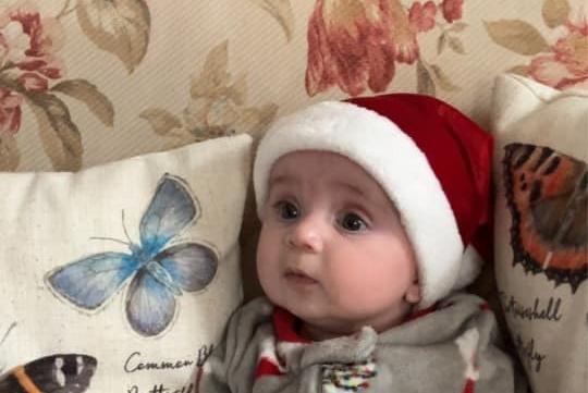 Four-and-a-half-month-old Harley.
