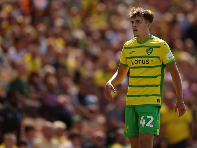 New Cobblers loan signing Tony Springett picturd during Norwich City's clash with Millwall earlier this season (Picture: Paul Harding/Getty Images)