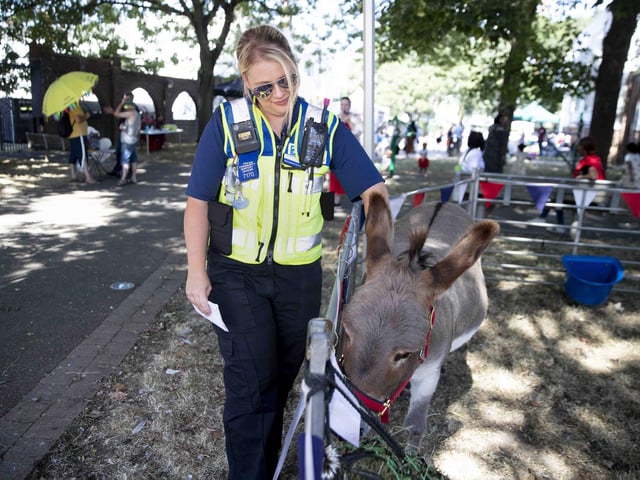 Spring Boroughs community enjoys family fun day on estate