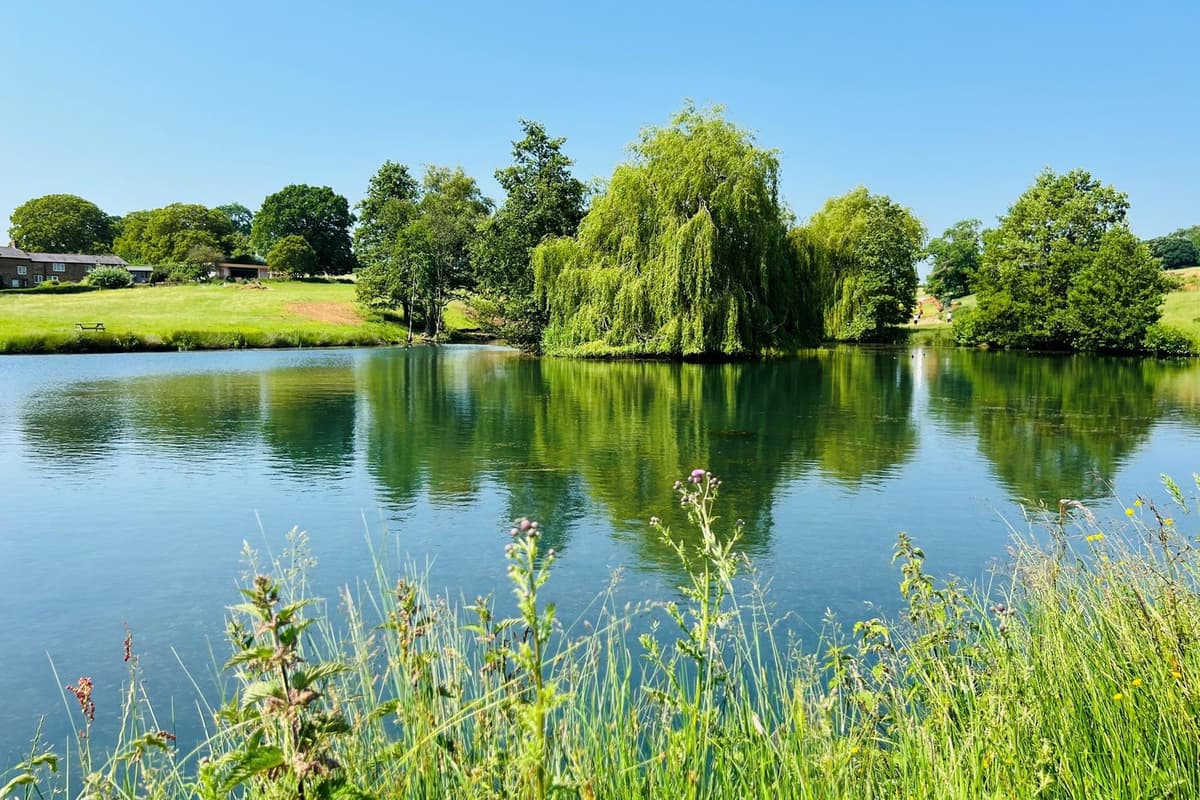 Ein neues Freibad in Northamptonshire wird eröffnet: Ein idyllischer ...