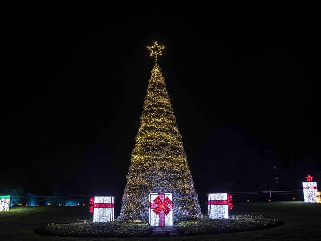 Take a look around the winter light trail, which is now open and will be until December 31.