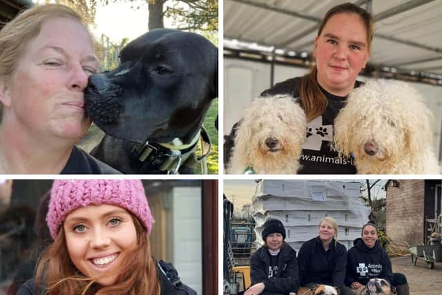 Animals In Need is celebrating its 35th anniversary this month