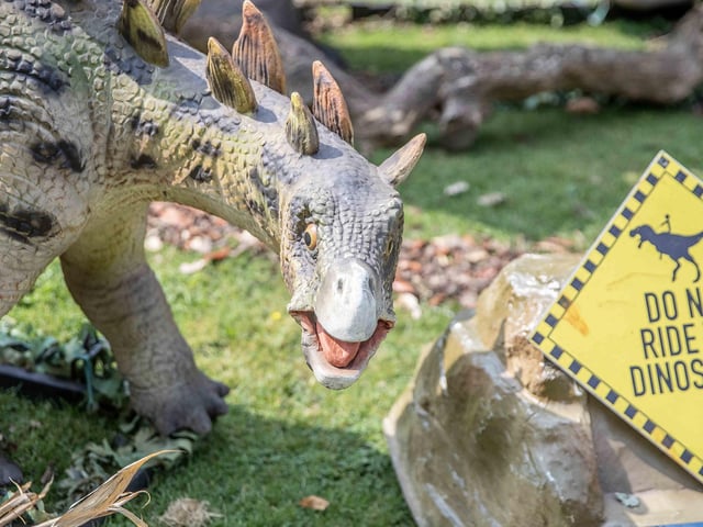 What to expect from the Dinosaurs in the Park event, which is at Delapre Abbey until Sunday September 1, 2024.