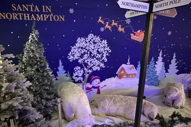 Polar bears and penguins are set to greet families as part of this year's Northampton BID grotto.