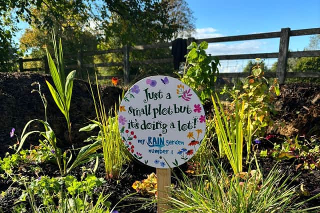 An example of a planted RAIN Garden, in Northamptonshire.