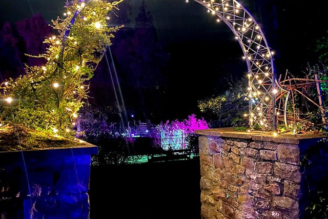 Step through this twinkling arch where you'll find a grand illuminated fountain, another lovely spot for a family picture.