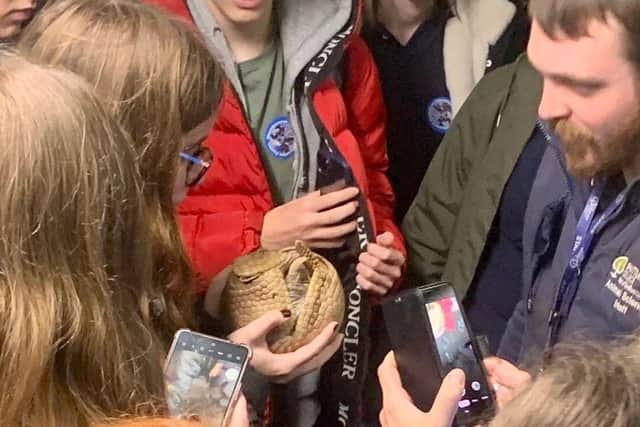Pupils cuddle with Shuttleworth College Armadillos