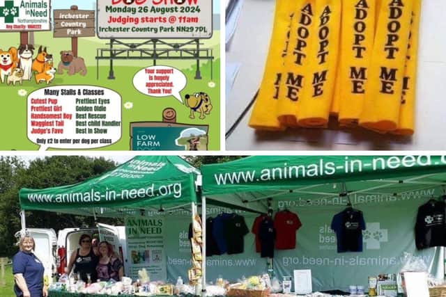 The fun dog show is taking place on Bank Holiday Monday (August 26)