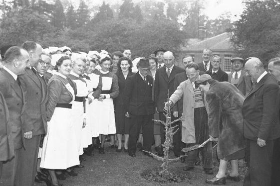 If you know any more information about this photograph, please email editor@northantsnews.co.uk