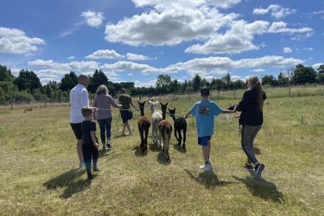 Alpaca trekking is available every Tuesday, Thursday and Saturday between 2 and 4pm, which is £30 for up to two adults and three children.