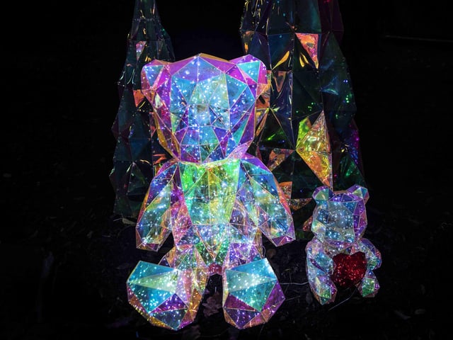 Take a look around the winter light trail, which is now open and will be until December 31.