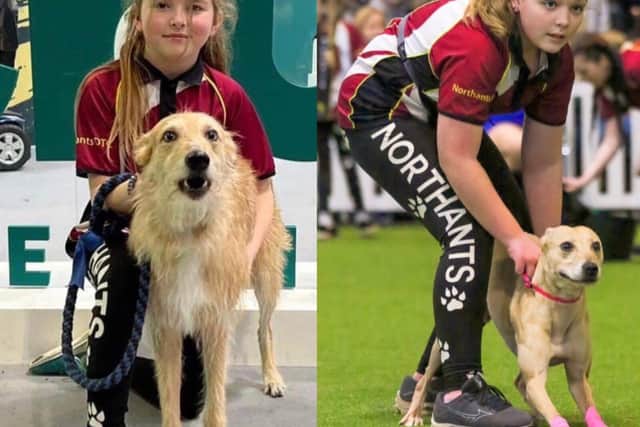 Sienna and Isobel competing at Crufts YKC 2023