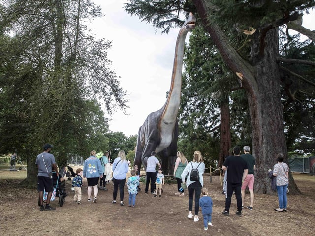 Families had tons of fun with the dinosaurs at Delapre Abbey