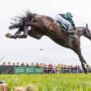 A runner flies this fence at the Edgcote races. Picture: Neale Blackburn (www.chasdog.com)