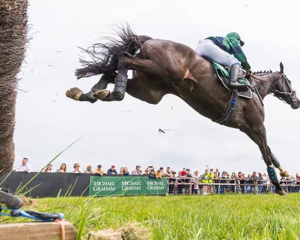A runner flies this fence at the Edgcote races. Picture: Neale Blackburn (www.chasdog.com)