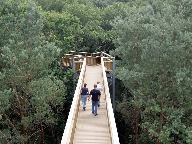 Forestry England announced on September 27 that it did not have the funding to restore Salcey Forest's iconic treetop walkway and that, if it did, it would cost more than £1 million - money the organisation says could be better spent. The attraction had been closed since 2018 due to safety concerns, but there was always hope that funds would be found to restore the attraction.