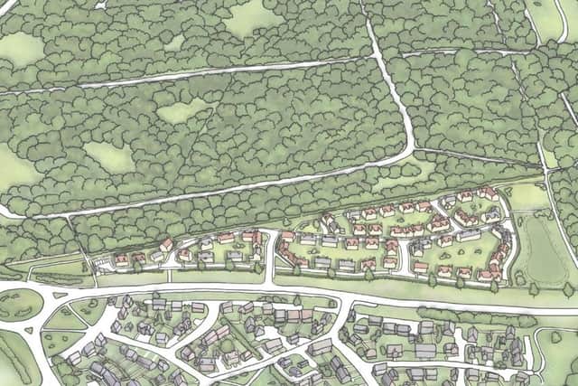 Plans to build up to 100 new homes on land next to Harlestone Firs have been recommended for approval