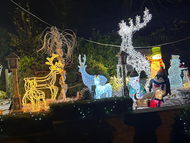 What originally began as their preschool children singing carols and Christmas songs, and only their families being invited along, has now been opened up to the public.