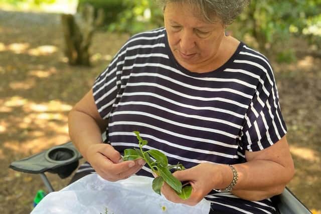 A participant making 'Nature art'