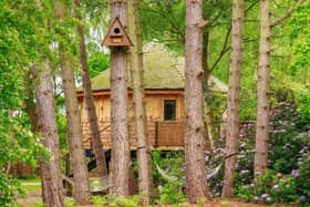 Owl Box - One of the signature treehouses at Treetop Hideaways
