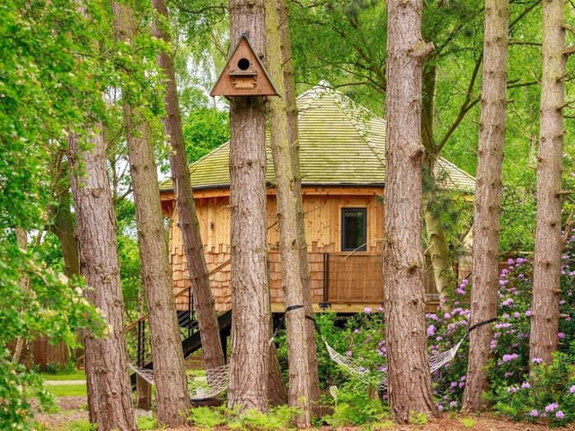 Owl Box - One of the signature treehouses at Treetop Hideaways