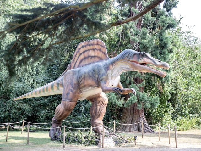 What to expect from the Dinosaurs in the Park event, which is at Delapre Abbey until Sunday September 1, 2024.