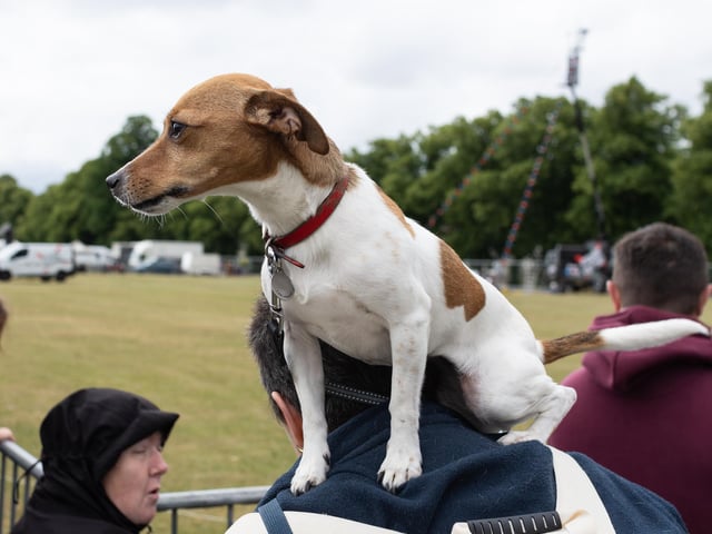 The family-fun festival returned to The Racecourse this weekend (July 1 - 3).