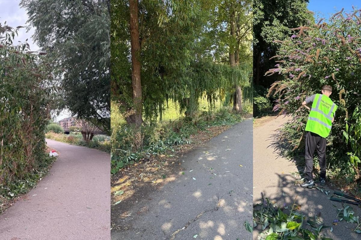 Offenders put to work clearing overgrown Northampton riverside paths