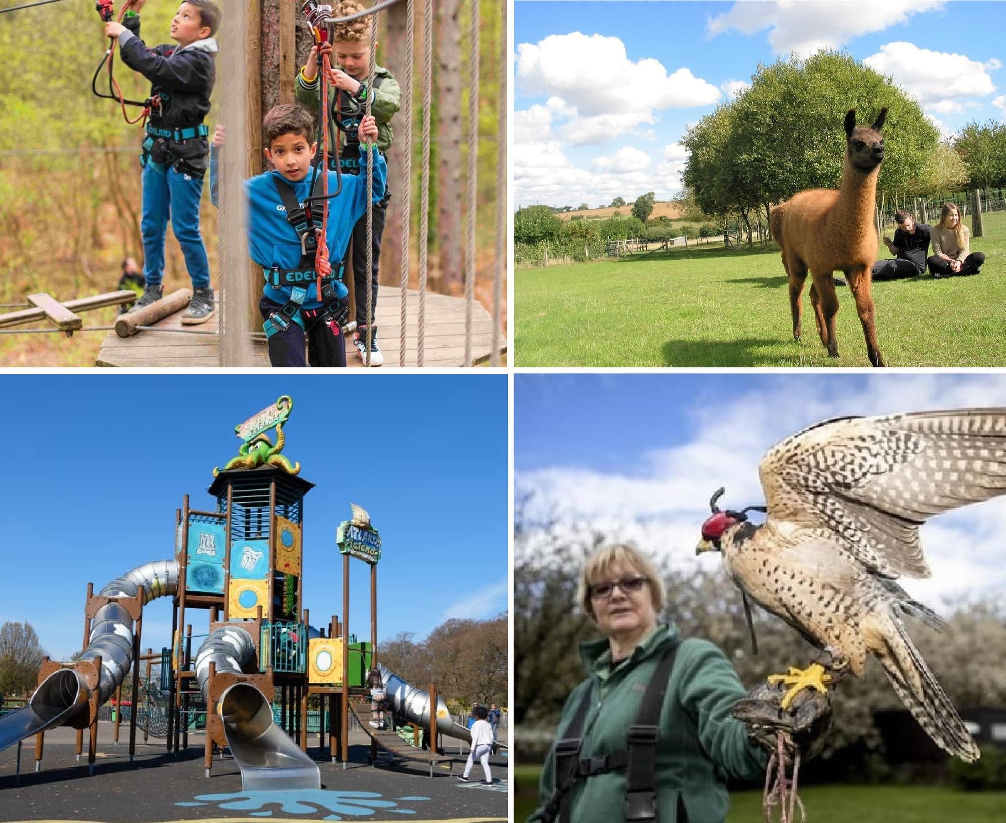 REVEALED: 12 fun-filled places to take children in Northamptonshire this summer - Vimarsana News