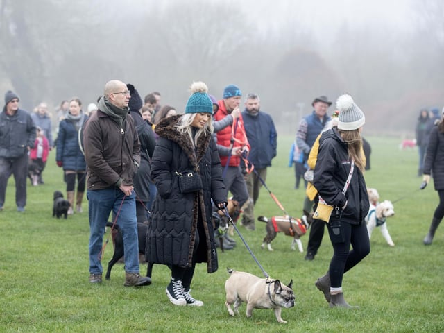 Dozens of dog walkers turned out on Sunday morning (December 21) for the charity's annual fundraiser at Bradlaugh Fields