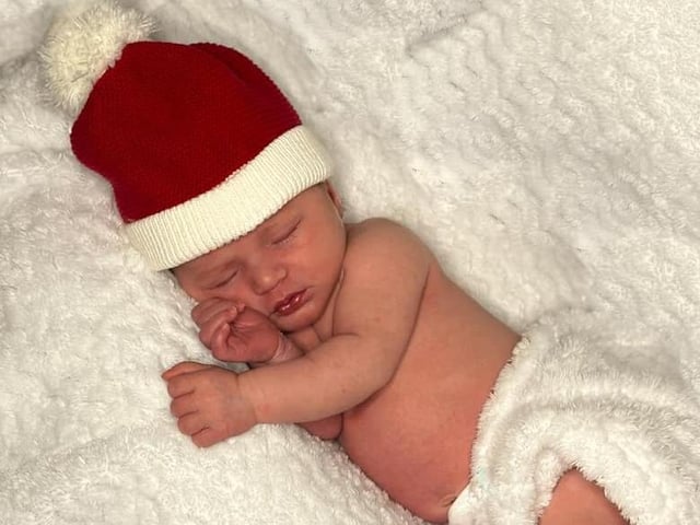Frankie, two weeks old.
