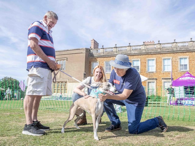 Pooches and owners alike enjoying the popular dog festival on Saturday September 14, 2024.