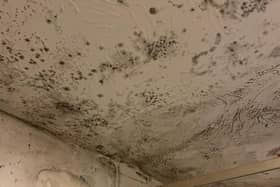 Residents of Stream Bank Close, Wellingborough have struggled to reduce the mould in their home