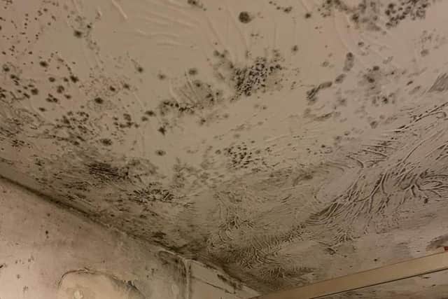 Residents of Stream Bank Close, Wellingborough have struggled to reduce the mould in their home